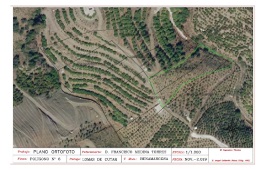 Plano georreferenciado